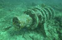 Great day of scuba diving in Key Largo with Rainbow Reef on winch hole tropical odyssey 2021 10 05 r11684 1