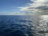 Great day of scuba diving in Key Largo with Rainbow Reef on winch hole tropical serenity 2021 10 16 r11736 1