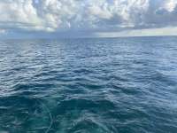 Great day of scuba diving in Key Largo with Rainbow Reef on woodys tropical destiny 2021 10 01 r11672 1