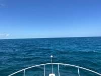 Great day of scuba diving in Key Largo with Rainbow Reef on christ statue tropical destiny 2021 09 28 r11664 1