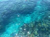 Great day of scuba diving in Key Largo with Rainbow Reef on christ statue tropical serenity 2021 09 07 r11593 1