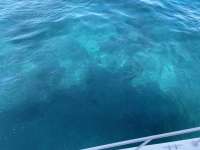 Great day of scuba diving in Key Largo with Rainbow Reef on city of washington tropical destiny 2021 09 18 r11632 1
