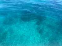 Great day of scuba diving in Key Largo with Rainbow Reef on city of washington tropical serenity 2021 09 25 r11657 1