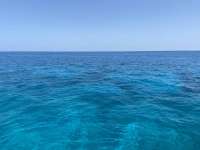 Great day of scuba diving in Key Largo with Rainbow Reef on conch ledge tropical serenity 2021 09 05 r11584 1