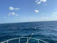 Great day of scuba diving in Key Largo with Rainbow Reef on eagle ray alley tropical destiny 2021 09 28 r11662 1