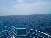 Great day of scuba diving in Key Largo with Rainbow Reef on eagle ray alley tropical odyssey 2021 09 02 r11563 1