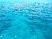 Great day of scuba diving in Key Largo with Rainbow Reef on eagle ray alley tropical odyssey 2021 09 02 r11563 3