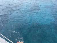 Great day of scuba diving in Key Largo with Rainbow Reef on elbow reef tropical destiny 2021 09 04 r11579 2