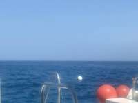 Great day of scuba diving in Key Largo with Rainbow Reef on french reef tropical adventure 2021 09 05 r11585 1
