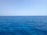 Great day of scuba diving in Key Largo with Rainbow Reef on french reef tropical odyssey 2021 09 04 r11578 2