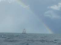 Great day of scuba diving in Key Largo with Rainbow Reef on molasses reef tropical adventure 2021 09 23 r11648 1