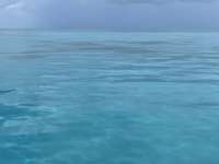 Great day of scuba diving in Key Largo with Rainbow Reef on molasses reef tropical destiny 2021 09 04 r11575 4