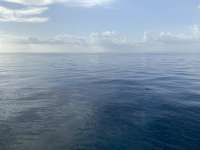 Great day of scuba diving in Key Largo with Rainbow Reef on molasses reef tropical serenity 2021 09 04 r11574 1