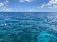 Great day of scuba diving in Key Largo with Rainbow Reef on molasses reef tropical serenity 2021 09 14 r11616 1