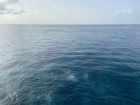 Great day of scuba diving in Key Largo with Rainbow Reef on north star tropical serenity 2021 09 01 r11560 1