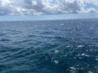Great day of scuba diving in Key Largo with Rainbow Reef on permit ledges tropical destiny 2021 09 26 r11659 1