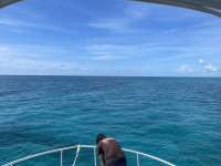 Great day of scuba diving in Key Largo with Rainbow Reef on sand island tropical destiny 2021 09 18 r11630 1