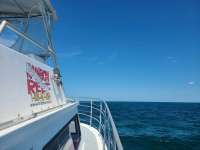 Great day of scuba diving in Key Largo with Rainbow Reef on snapper ledge tropical odyssey 2021 09 28 r11665 1