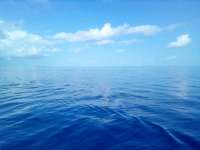 Great day of scuba diving in Key Largo with Rainbow Reef on spiegel grove tropical odyssey 2021 09 05 r11581 1