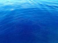 Great day of scuba diving in Key Largo with Rainbow Reef on spiegel grove tropical odyssey 2021 09 05 r11581 3