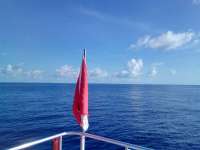 Great day of scuba diving in Key Largo with Rainbow Reef on uscgc bibb tropical odyssey 2021 09 08 r11596 1