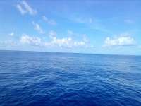 Great day of scuba diving in Key Largo with Rainbow Reef on uscgc bibb tropical odyssey 2021 09 08 r11596 2