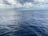 Great day of scuba diving in Key Largo with Rainbow Reef on uscgc duane tropical serenity 2021 09 14 r11611 1