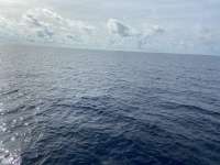 Great day of scuba diving in Key Largo with Rainbow Reef on uscgc duane tropical serenity 2021 09 18 r11628 1