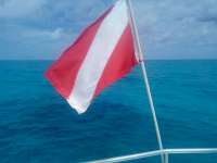 Great day of scuba diving in Key Largo with Rainbow Reef on banana patch tropical serenity 2022 04 27 r12377 1