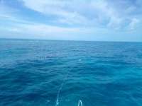 Great day of scuba diving in Key Largo with Rainbow Reef on banana patch tropical serenity 2022 04 27 r12377 2