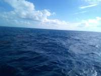 Great day of scuba diving in Key Largo with Rainbow Reef on benwood wreck tropical legend 2022 04 17 r12350 1