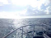 Great day of scuba diving in Key Largo with Rainbow Reef on benwood wreck tropical legend 2022 04 17 r12350 2