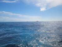 Great day of scuba diving in Key Largo with Rainbow Reef on drift molasses tropical explorer 2022 04 30 r12395 2
