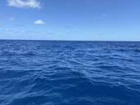 Great day of scuba diving in Key Largo with Rainbow Reef on molasses deep tropical explorer 2022 04 26 r12374 1