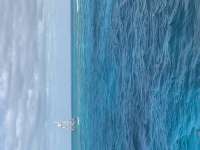 Great day of scuba diving in Key Largo with Rainbow Reef on molasses reef tropical destiny 2022 04 11 r12333 1