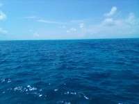 Great day of scuba diving in Key Largo with Rainbow Reef on pickles reef tropical destiny 2022 04 03 r12293 2