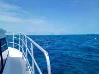 Great day of scuba diving in Key Largo with Rainbow Reef on spanish anchor tropical destiny 2022 04 08 r12320 1