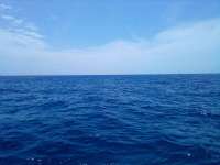 Great day of scuba diving in Key Largo with Rainbow Reef on spanish anchor tropical destiny 2022 04 08 r12320 2