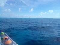 Great day of scuba diving in Key Largo with Rainbow Reef on spanish anchor tropical serenity 2022 04 27 r12375 1