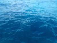 Great day of scuba diving in Key Largo with Rainbow Reef on spanish anchor tropical serenity 2022 04 27 r12375 2