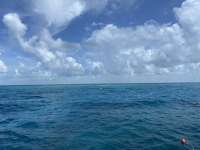 Great day of scuba diving in Key Largo with Rainbow Reef on christmastree cave tropical adventure 2022 08 05 r12974 1