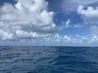 Great day of scuba diving in Key Largo with Rainbow Reef on city of washington tropical adventure 2022 08 08 r12988 1