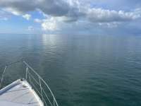 Great day of scuba diving in Key Largo with Rainbow Reef on crf nursery tropical voyager 2022 08 15 r13031 1