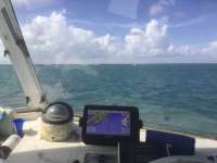 Great day of scuba diving in Key Largo with Rainbow Reef on crf nursery tropical voyager 2022 08 20 r13062 1