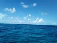 Great day of scuba diving in Key Largo with Rainbow Reef on drift molasses tropical explorer 2022 08 21 r13069 1