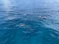 Great day of scuba diving in Key Largo with Rainbow Reef on eagle ray alley tropical adventure 2022 08 15 r13032 1