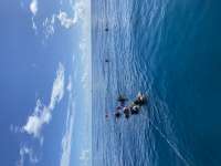 Great day of scuba diving in Key Largo with Rainbow Reef on eagle ray alley tropical adventure 2022 08 15 r13032 2