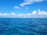 Great day of scuba diving in Key Largo with Rainbow Reef on french reef tropical odyssey 2022 08 17 r13044 1