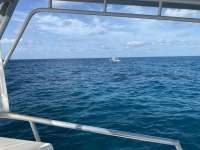 Great day of scuba diving in Key Largo with Rainbow Reef on french twist tropical legend 2022 08 02 r12957 1