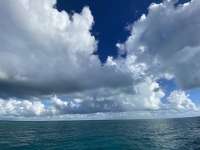 Great day of scuba diving in Key Largo with Rainbow Reef on french twist tropical legend 2022 08 23 r13074 1